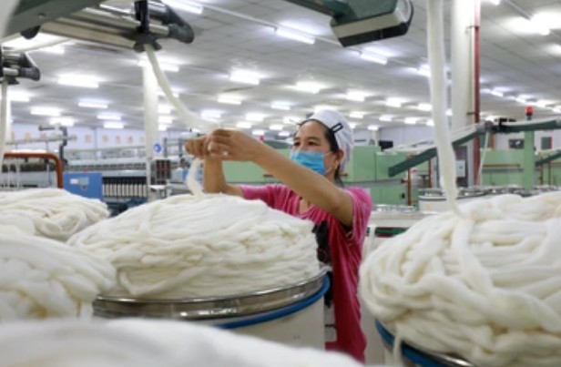 Combed Cotton